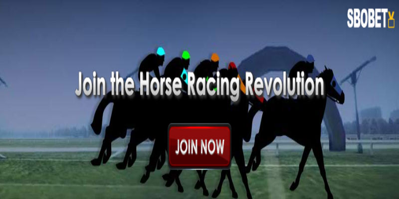 Experience the Thrill of Racing in Sbobet