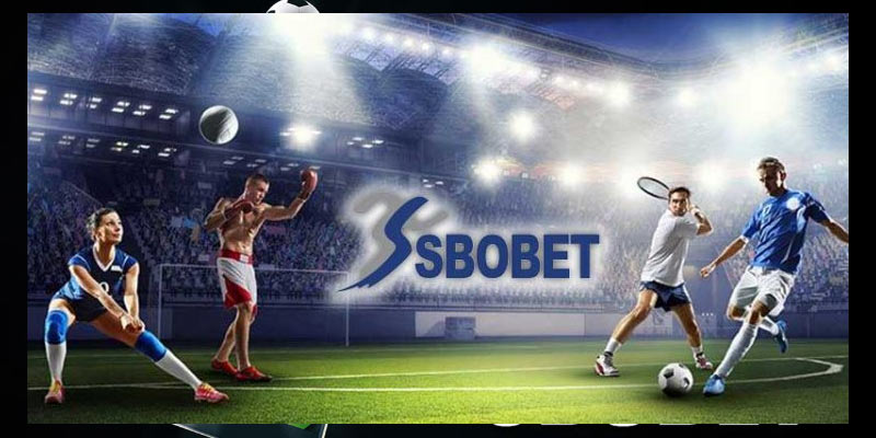 Sbobet in Italia - Exploring the Rise of Online Betting Platforms